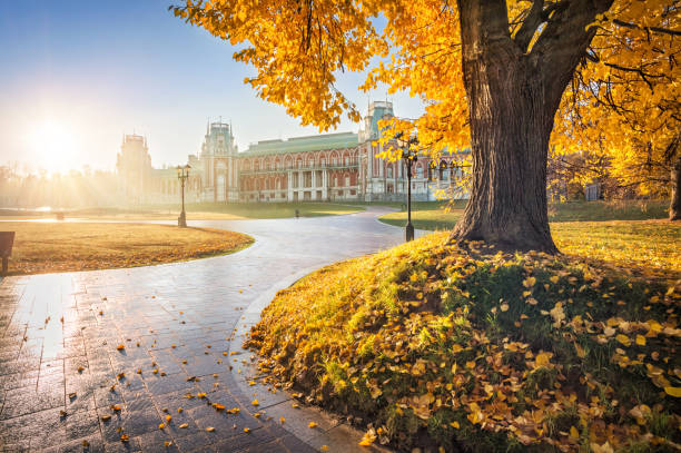 istock Tsaritsyno Palace in Moscow and a tree 1227426025