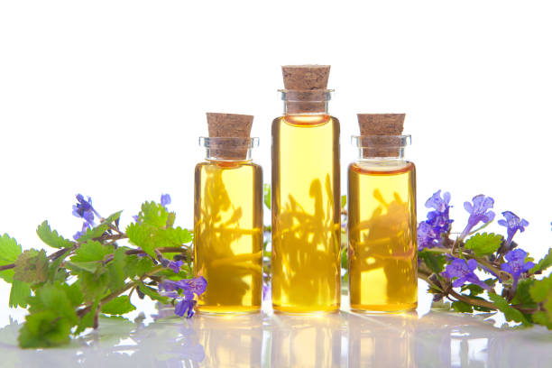 istock bugleherb essential oil in  beautiful bottle on White background 1227426703