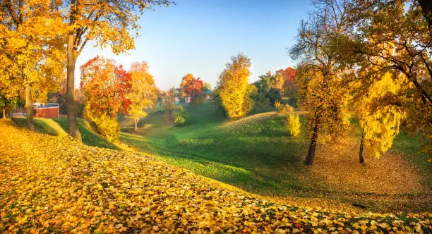 Autumn landscape with colorful golden trees in Tsaritsyno park in Moscow on an early sunny morning