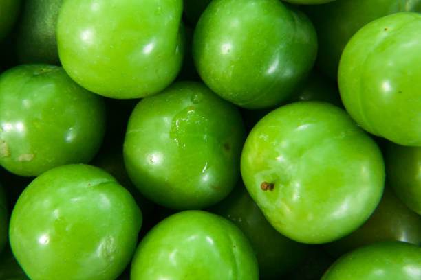 istock Spring Tastes: Crispy Green Plum and Unripe Almond 1227427526
