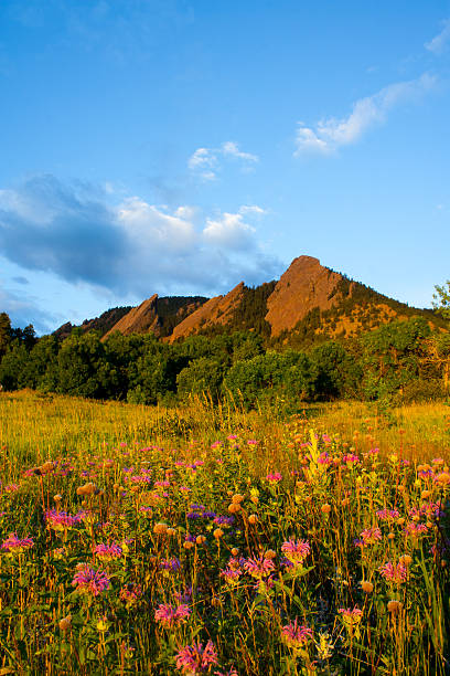 boulder flatirons - flatirons colorado boulder mountain range - fotografias e filmes do acervo