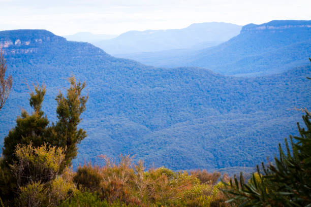 istock Mountains covered with blue haze vaporising from eucalyptus trees 122743896