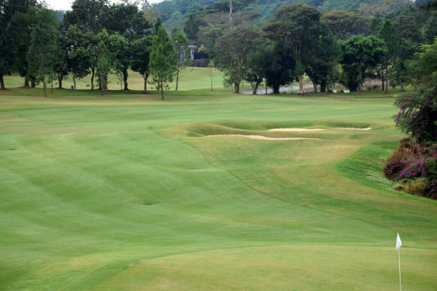 istock Golf course with a rich green turf beautiful scenery 1227441276
