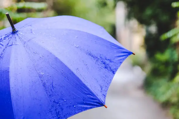 Blue Umbrella in the rain and green on the background. Copy space.