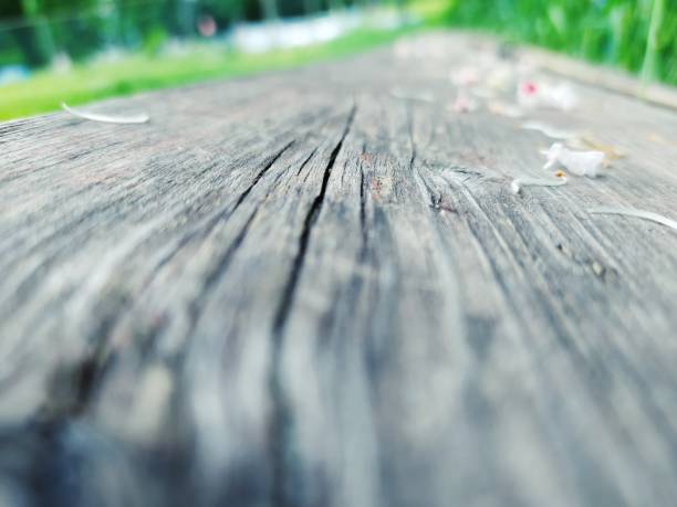 istock wooden surface, composition perspective dynamic, road, direction of contrast of movement 1227452452