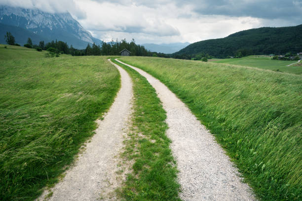 A winding gravel road with a strip of green grass in the center leads through lush spring vegetation toward a white farmhouse in the distance. A serene rural scene capturing natural beauty and simplicity.