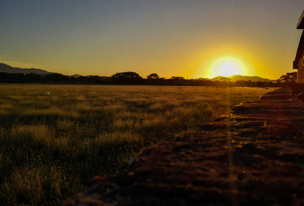 sunset grass wall powerful colors