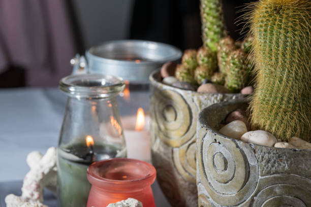 istock prickly pears and succulents in small decorative pots next to round stones 1227460423