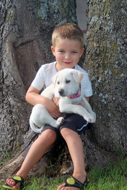 istock Young male caucasian boy playing with puppy 1227460504