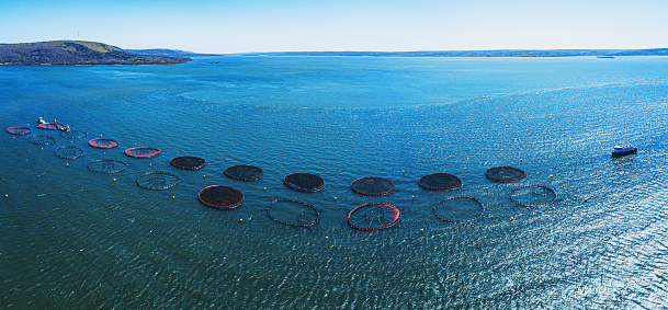 A top-down view of aquaculture fish farm cages and nets in deep blue water