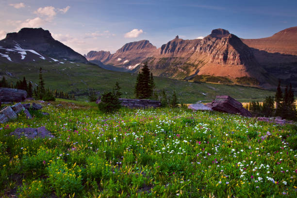 The light brushes across the peaks that overlook this hidden gem of a meadow in the backcountry near Logan Pass in Glacier National Park, Montana