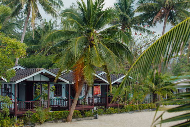 istock Bungalows in hotel on a tropical beach 1227470491