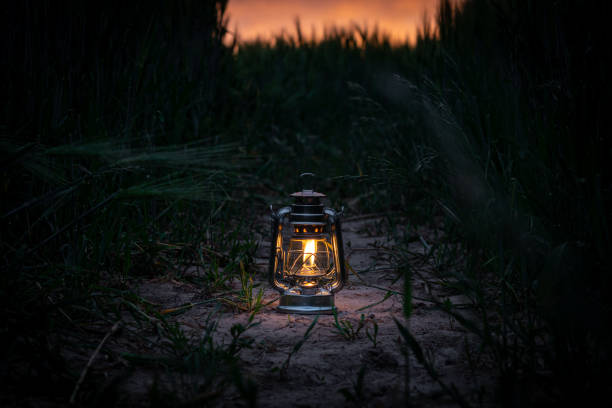istock burning lantern stands in a cornfield at dusk 1227472395