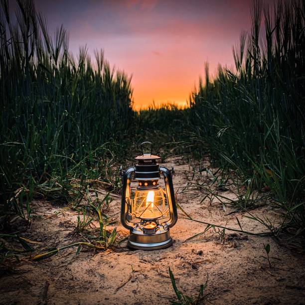 istock burning lantern stands in a cornfield at dusk 1227472397