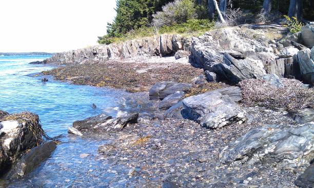 istock rocky beach on a Maine island 1227473263