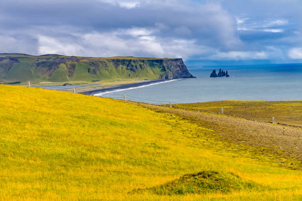 Dyrholaey Park Green Cliffs Reynisfjara Black Sand Beach South Shore Iceland.