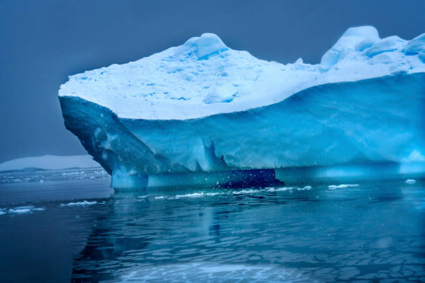 istock Snowing Floating Blue Iceberg Reflection Paradise Bay Skintorp Cove Antarctica 1227476406