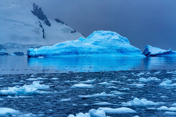 istock Snowing Floating Blue Iceberg Reflection Paradise Bay Skintorp Cove Antarctica 1227476537