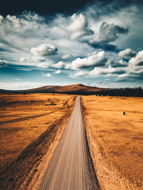 landscape in wyoming