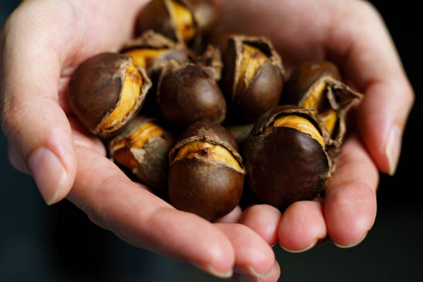 istock Woman holding grilled chestnuts in her hands. 1227493361