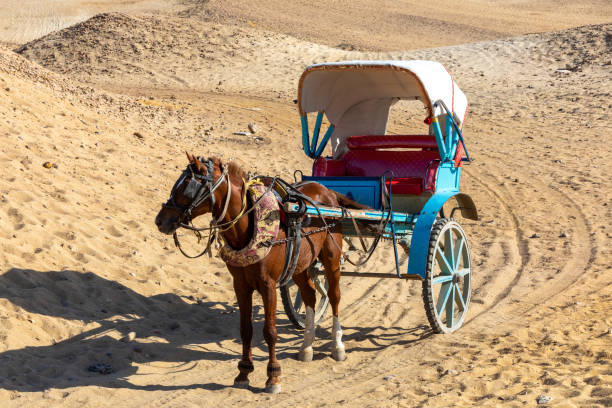 istock horse chariot in desert, Giza, Egypt 1227493365