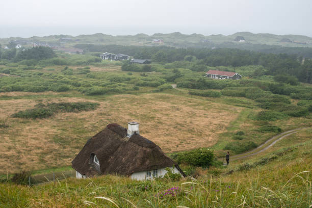 Summer houses in Blokhus located in the protecting dunes that provide shelter for the roaring and wonderful North Sea. Summer cottages in Blokhus located in the protecting dunes that provide shelter for the roaring and wonderful North Sea. green valley denmark stock pictures, royalty-free photos & images