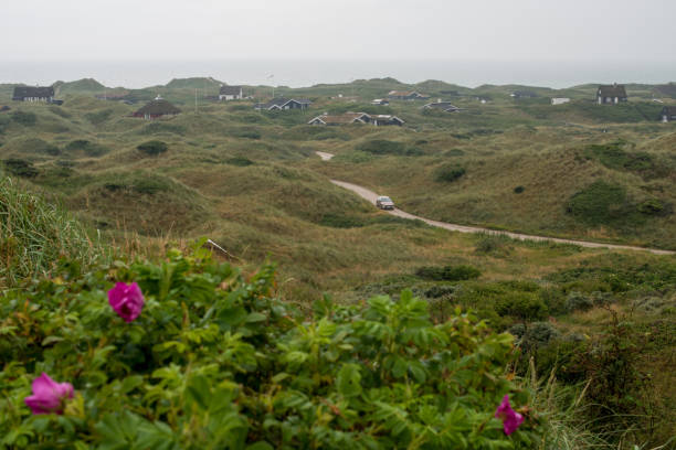 casas de verão em blokhus localizadas nas dunas protetoras que fornecem abrigo para o rugido e maravilhoso mar do norte. - denmark house cottage rural scene - fotografias e filmes do acervo