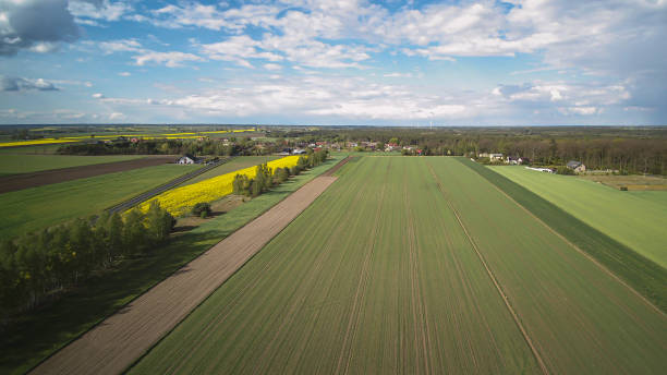 istock Wind farm surrounded by blooming rapeseed. 1227497107