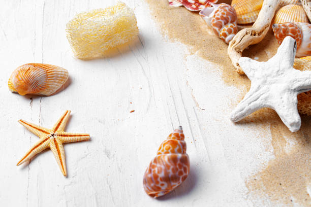 Vacation concept. Seashells and old vintage camera on blue background, copy space