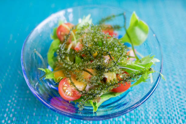 umibudo (algas verdes) também é chamado de caviar verde em okinawa. - japanese cuisine appetizer gourmet caviar - fotografias e filmes do acervo