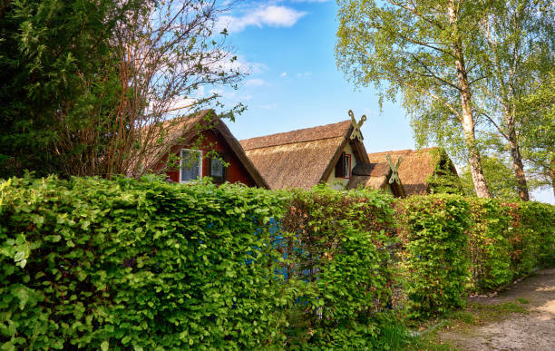 istock Several boathouses with a thatched roof and green hedge in a row. 1227504240
