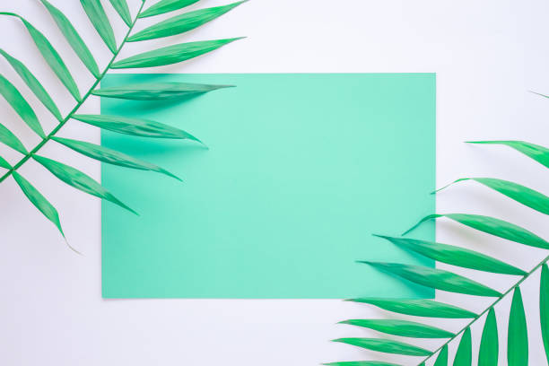 istock turquoise blue layout with tropical palm leaves on a white background 1227504325