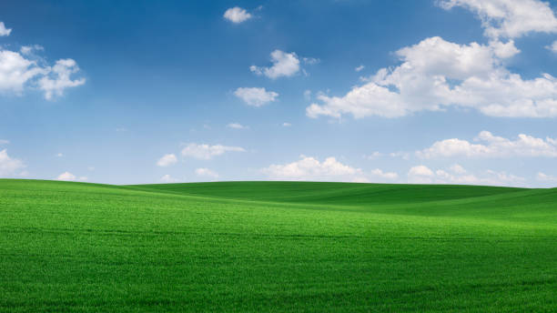 istock Panoramic spring landscape XXXXL 87 MPix - green field, blue sky 1227504383