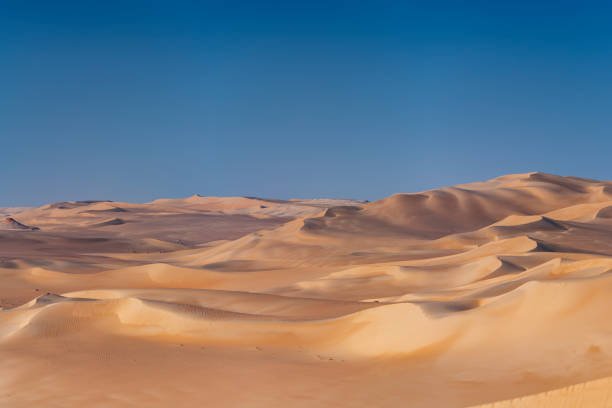 istock Great Sand Sea, Sahara Desert, Africa 1227504438