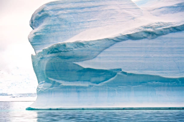 istock Floating Iceberg Over The Water In Antarctica Peninsula 1227510659