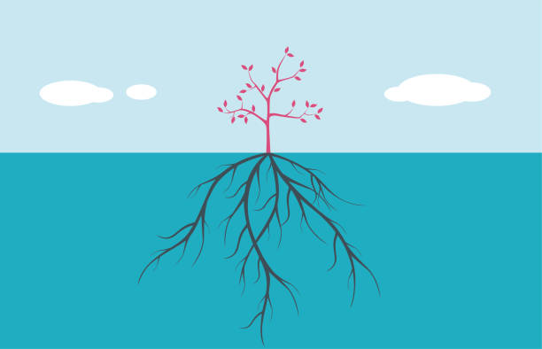 ツリー - root origins growth plant点のイラスト素材／クリップアート素材／マンガ素材／アイコン素材