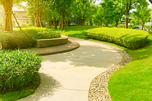 Landscape of smooth green grass lawn, trees with supporting, seating on gray curve pattern walkway sand washed finishing on concrete paving, brown gravel border in shrub in a good maintenance park