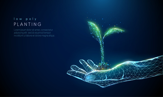 Abstract giving hand with young plant in earth. Low poly style design. Blue geometric background. Wireframe light connection structure. Modern 3d graphic concept. Isolated vector illustration.