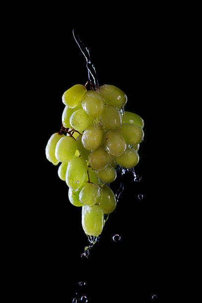Branch of Green grapes and water splash isolated on dark background