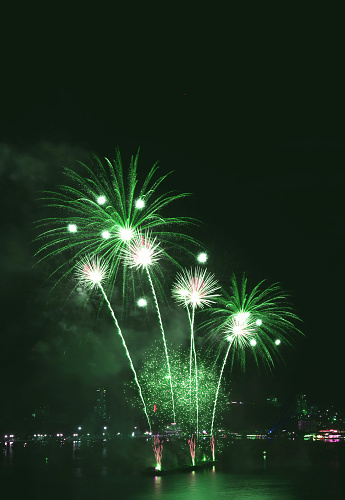 Vertical image of vibrant green fireworks splashing in the night sky