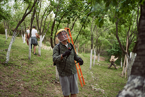 Senior man in retirement spraying his fruit crop with a poisonous insecticide while wearing a protective gloves and visor at his orchard