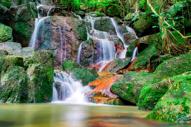 amazing waterfall in jungle, koh samui, thailand - tao imagens e fotografias de stock