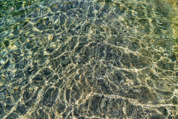 istock Water surface of the river 1227522169