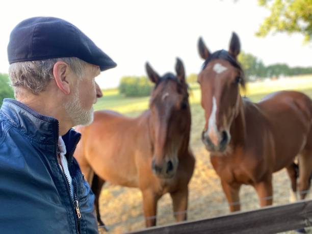 istock Close welcome  to horses 1227524061