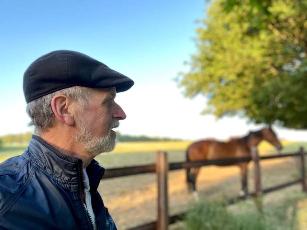 istock Close welcome  to horses 1227524063
