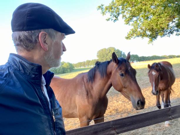 istock Close welcome  to horses 1227524070