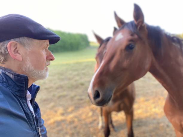 istock Close welcome  to horses 1227524080