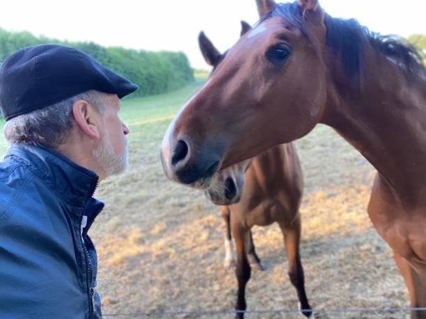 istock Close welcome  to horses 1227524098