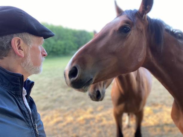istock Close welcome  to horses 1227524106