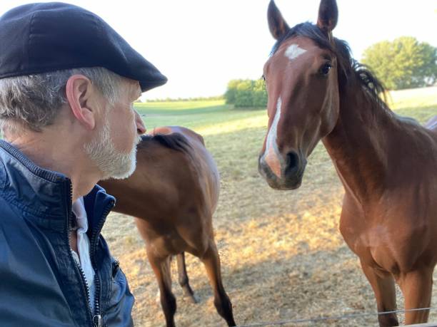 istock Close welcome  to horses 1227524112